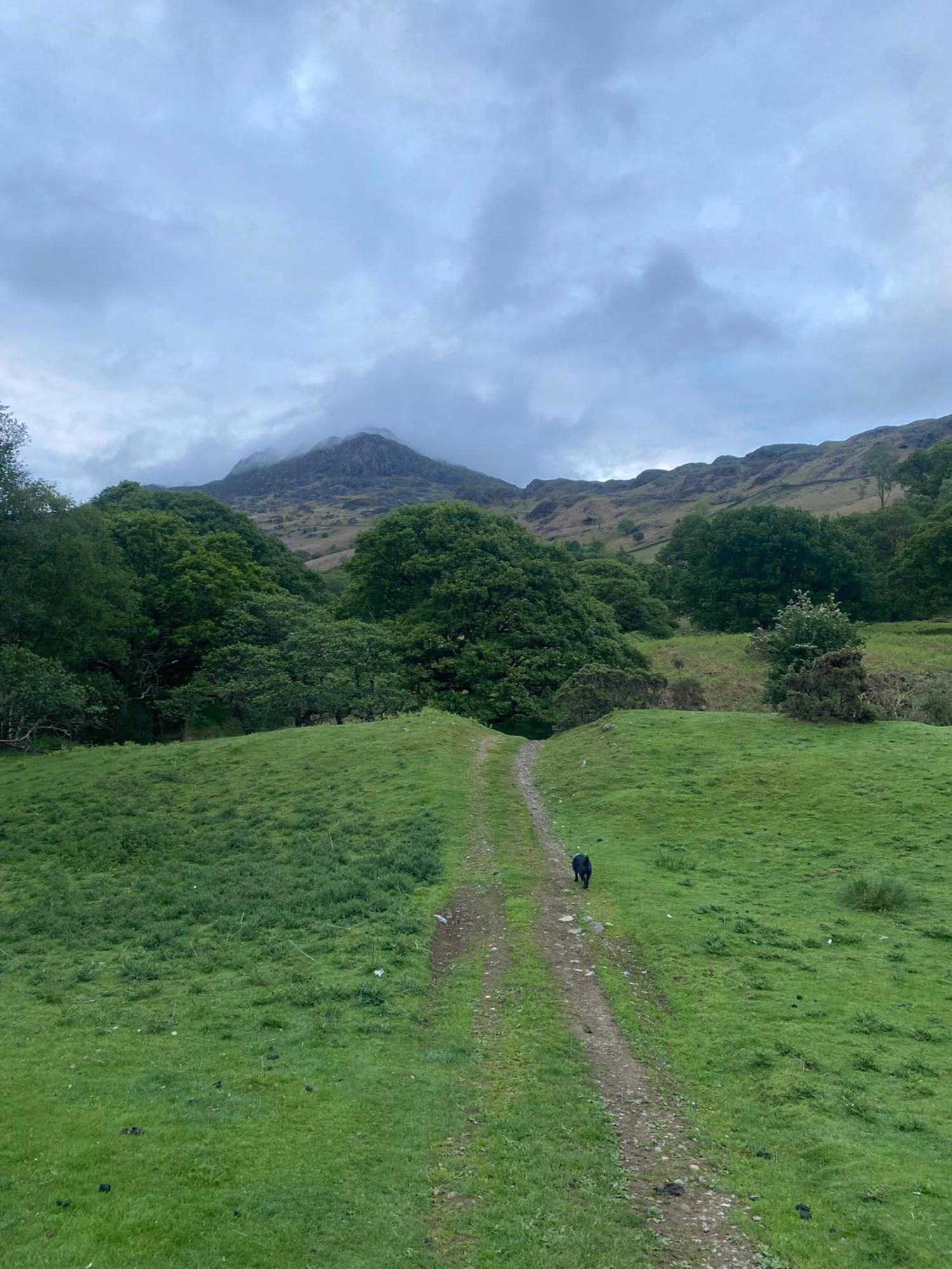 Cosy Glamping In The Eskdale Valley - Studio Lodges And Mega Pods Exterior photo